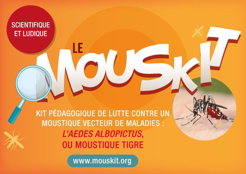 Visuel du site Mouskit