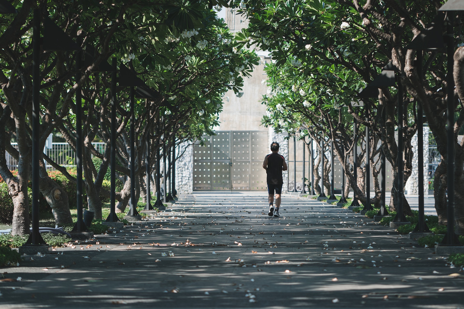 homme qui court sous des arbres