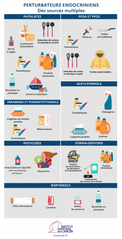 Les pertubateurs endocriniens