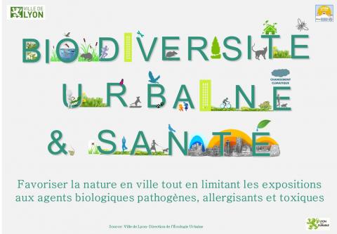 illustration de l'infographie de la biodiversité urbaine 