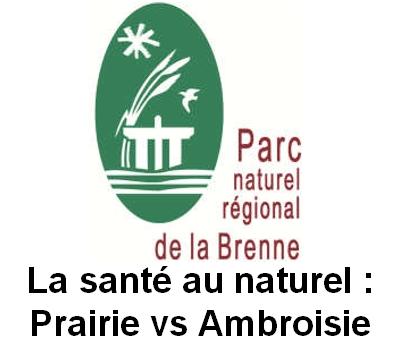 Illustration du projet Prairie vs Ambroisie