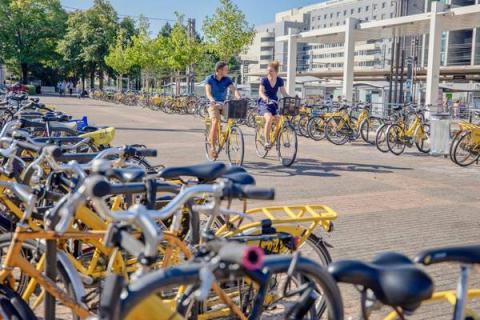 mise à disposition de vélo en location à Grenoble