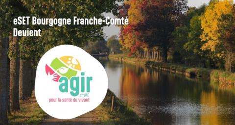 Le site internet ARS fait peau neuve